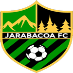 Home Team Flag