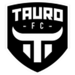 Home Team Flag