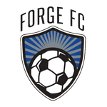 Home Team Flag