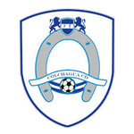 Home Team Flag