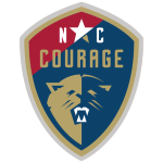 Home Team Flag