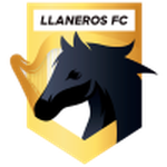 Home Team Flag